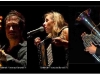 meute-decembre-2012